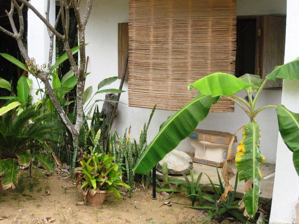 Los Metates Zipolite Zewnętrze zdjęcie